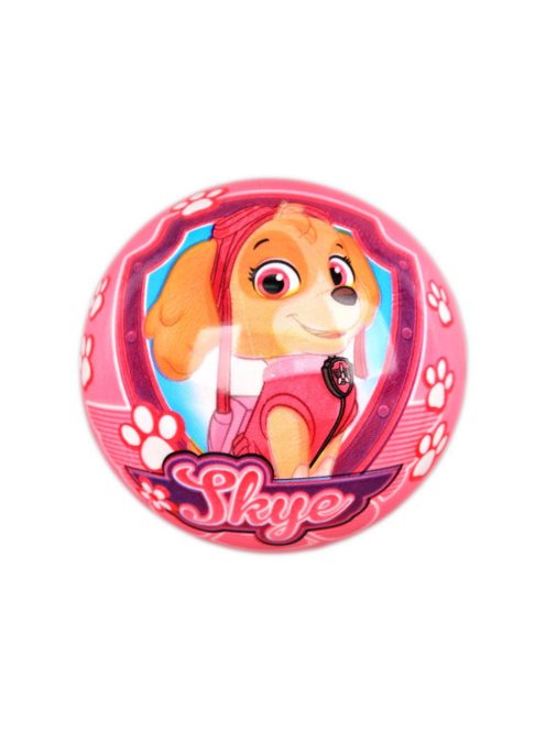 Minge de copii Paw Patrol Skye-Minge de copii Paw Patrol Skye